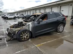 LYV102DK8KB285113 2019 VOLVO XC60
