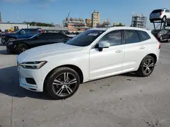 LYV102DK9KB252010 2019 VOLVO XC60