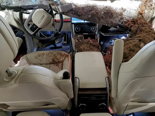 SALKP9FU4PA023247 2023 LAND ROVER RANGE ROVER - Image 8