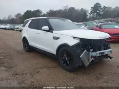 SALRG2RV5K2401167 2019 LAND ROVER DISCOVERY