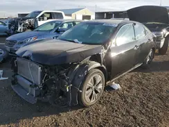 SHHFK7H51HU408502 2017 HONDA CIVIC