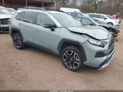 T3J1RFV4KW060242 2019 TOYOTA RAV 4