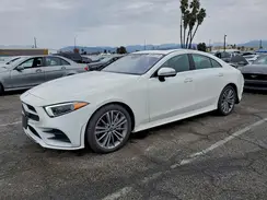 W1K2J5JB6LA055768 2020 MERCEDES-BENZ CLS-KLASSE