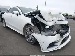 W1K2J5JB8LA055190 2020 MERCEDES-BENZ CLS-KLASSE