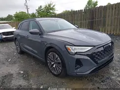 WA15AAGE8RB063952 2024 AUDI Q8