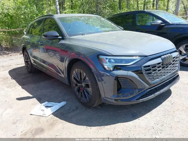 WA16AAGE8RB053944 2024 AUDI Q8 - Image 1