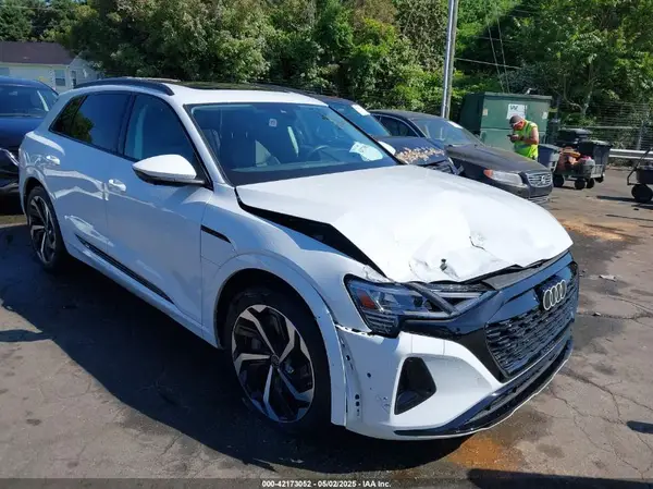 WA16AAGE9RB036425 2024 AUDI Q8 - Image 1