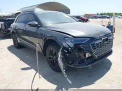 WA16ABGE0RB038196 2024 AUDI Q8