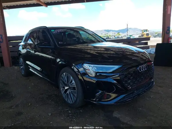WA16ABGE3RB005015 2024 AUDI Q8 - Image 1