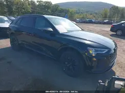WA16ABGEXRB055779 2024 AUDI Q8