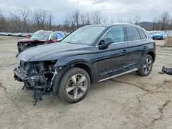 WA1BBAFY0P2089518 2023 AUDI Q5