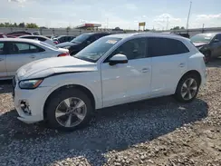 WA1BBAFY1R2041142 2024 AUDI Q5