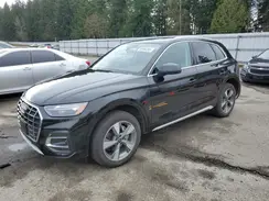 WA1BBAFY4R2014436 2024 AUDI Q5