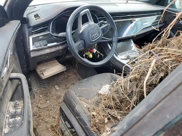 WA1BVAF11KD044403 2019 AUDI Q8 - Image 8