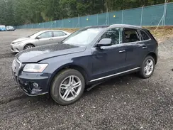 WA1C2AFP9HA068444 2017 AUDI Q5