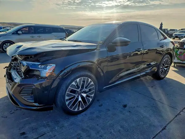 WA1CAAGE0RB052659 2024 AUDI Q8 - Image 1
