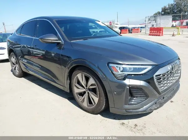 WA1CAAGE9RB049520 2024 AUDI Q8 - Image 1
