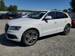 WA1CCAFP6GA018709 2016 AUDI SQ5