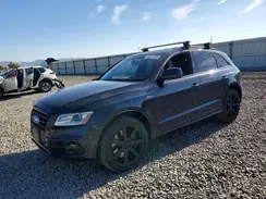 WA1CCAFP9GA141520 2016 AUDI SQ5