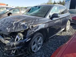 WA1CNAFY8K2020791 2019 AUDI Q5