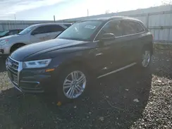 WA1CNAFY9J2223073 2018 AUDI Q5