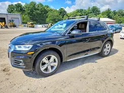 WA1CNBFY3K2130461 2019 AUDI Q5