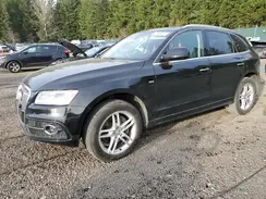 WA1D7AFP1HA005845 2017 AUDI Q5