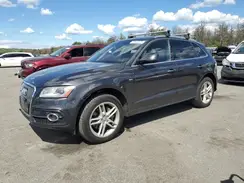 WA1D7AFP3HA032836 2017 AUDI Q5