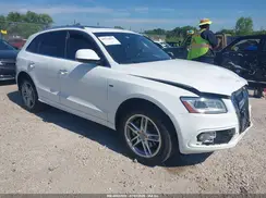 WA1D7AFPXHA031263 2017 AUDI Q5