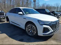 WA1DABGE3RB060698 2024 AUDI Q8