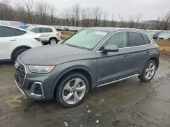 WA1EAAFY9P2152213 2023 AUDI Q5