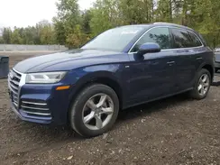 WA1FNAFY0K2019406 2019 AUDI Q5