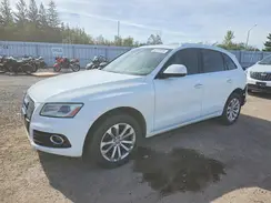 WA1L2AFP1GA010200 2016 AUDI Q5