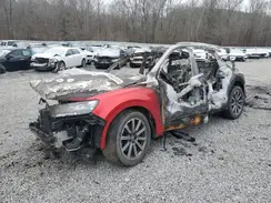 WA1LHAF7XHD053366 2017 AUDI Q7