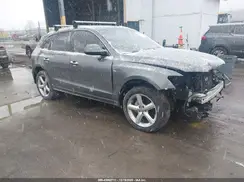 WA1M2AFP3HA068489 2017 AUDI Q5