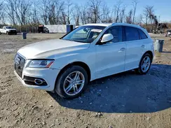 WA1W7AFP9GA012629 2016 AUDI Q5