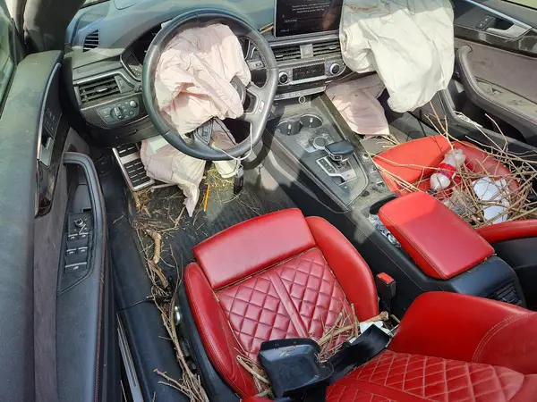 WAU24GF5XKN002513 2019 AUDI RS5 - Image 8