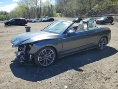WAU4AGF5XRN005388 2024 AUDI A5