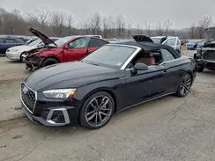 WAU4AGF5XRN011384 2024 AUDI A5