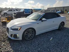 WAU5AGF5XRN001040 2024 AUDI A5