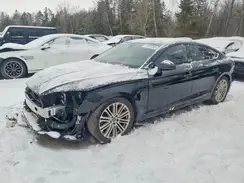 WAUA4CF50SA002774 2025 AUDI S5