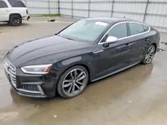 WAUA4CF52KA003781 2019 AUDI S5