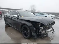 WAUA4CF54RA042172 2024 AUDI S5