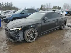 WAUA4CF5XPA044974 2023 AUDI RS5