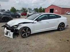 WAUAACF51RA066132 2024 AUDI A5
