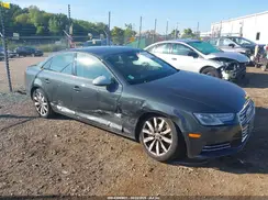WAUANAF41HN001384 2017 AUDI A4