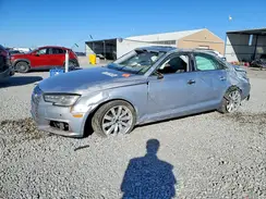 WAUANAF43HN001743 2017 AUDI A4
