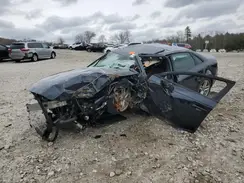 WAUANAF44HA149469 2017 AUDI A4