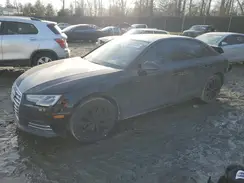 WAUANAF46HN056493 2017 AUDI A4