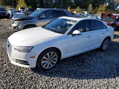 WAUANAF47HN008226 2017 AUDI A4